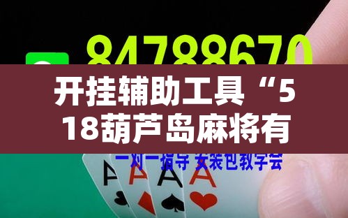 开挂辅助工具“518葫芦岛麻将有没有挂”开挂辅助脚本+详细开挂安装教程