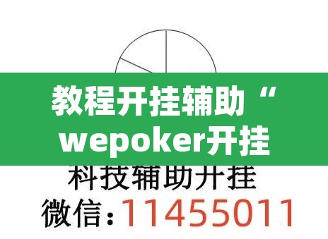 教程开挂辅助“wepoker开挂透视辅助	”其实确实有挂