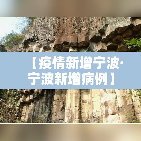 【疫情新增宁波·宁波新增病例】 【疫情新增宁波·宁波新增病例】
