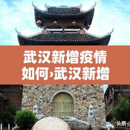 武汉新增疫情如何›武汉新增疫情活动轨迹 武汉新增疫情如何›武汉新增疫情活动轨迹