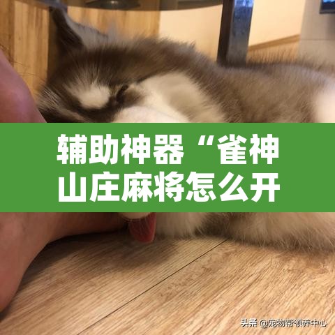 辅助神器“雀神山庄麻将怎么开挂”其实确实有挂