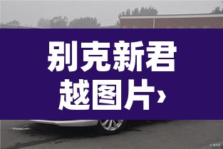 别克新君越图片›室内高尔夫设备多少钱一套