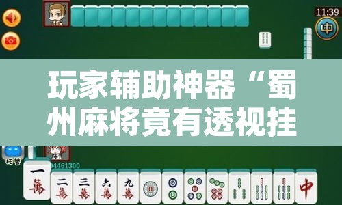 玩家辅助神器“蜀州麻将竟有透视挂吗	”附辅助神器开挂脚本详细步骤