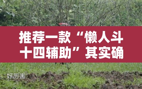 推荐一款“懒人斗十四辅助	”其实确实有挂