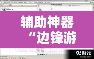 辅助神器“边锋游戏辅助器”开挂辅助脚本+详细开挂安装教程
