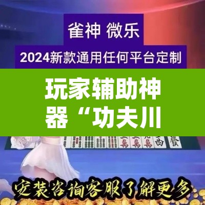 玩家辅助神器“功夫川麻辅助器安装包	”(透视挂)辅助透视教程