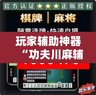 玩家辅助神器“功夫川麻辅助器安装包”(透视挂)辅助透视教程