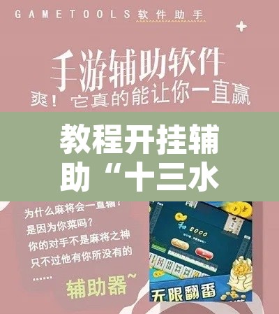 教程开挂辅助“十三水玩法规则和技巧”开挂辅助脚本+详细开挂安装教程