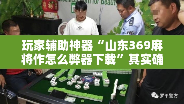 玩家辅助神器“山东369麻将作怎么弊器下载	”其实确实有挂