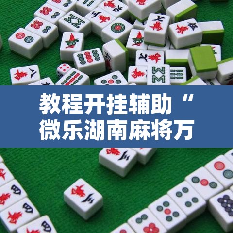 教程开挂辅助“微乐湖南麻将万能开挂器通用版”开挂辅助脚本+详细开挂安装教程