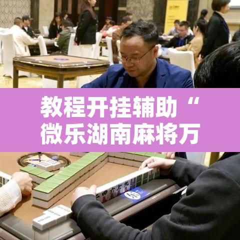 教程开挂辅助“微乐湖南麻将万能开挂器通用版”开挂辅助脚本+详细开挂安装教程
