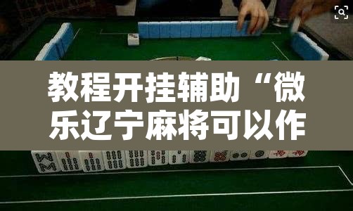 教程开挂辅助“微乐辽宁麻将可以作弊吗”其实确实有挂
