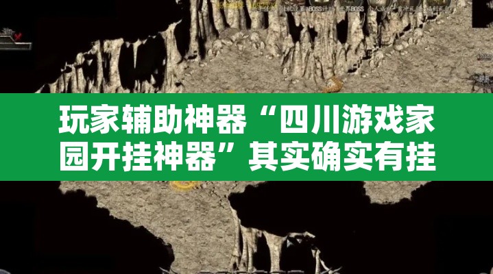 玩家辅助神器“四川游戏家园开挂神器	”其实确实有挂