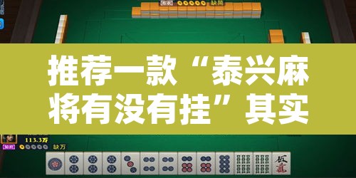 推荐一款“泰兴麻将有没有挂”其实确实有挂