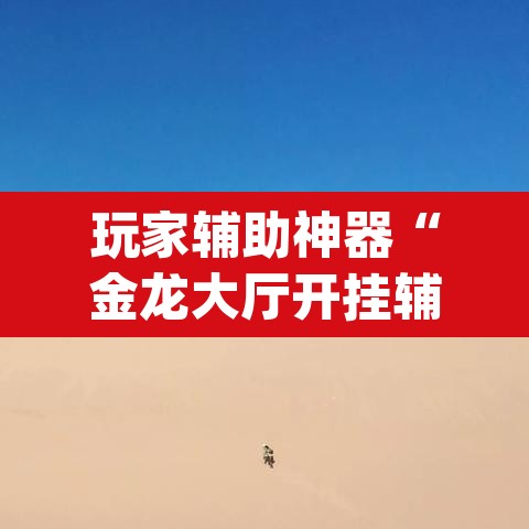 玩家辅助神器“金龙大厅开挂辅助软件”(透视挂)辅助透视教程