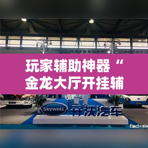 玩家辅助神器“金龙大厅开挂辅助软件	”(透视挂)辅助透视教程