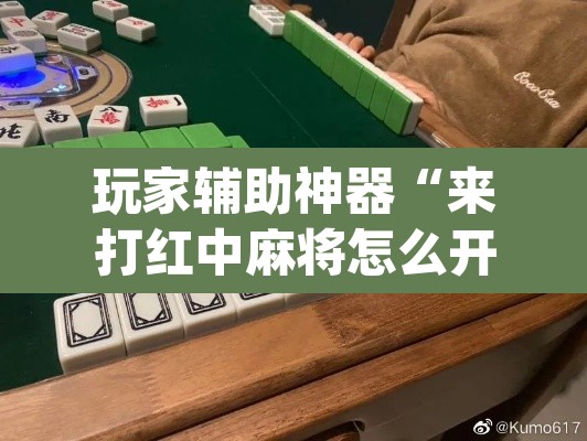 玩家辅助神器“来打红中麻将怎么开挂”(透视)其实确实有挂