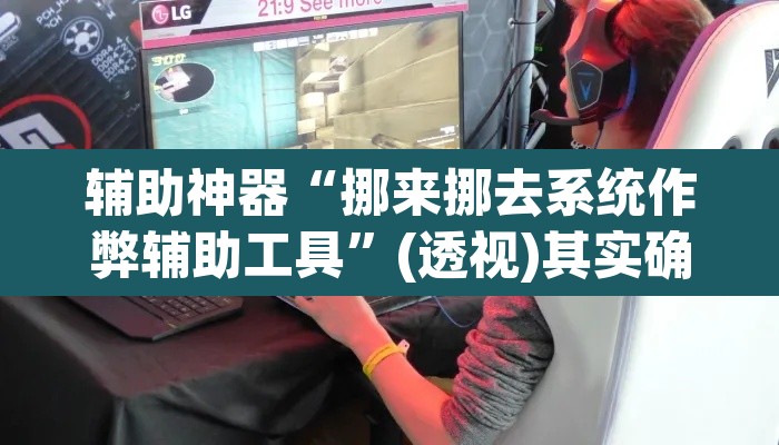 辅助神器“挪来挪去系统作弊辅助工具”(透视)其实确实有挂