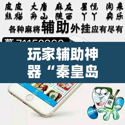 玩家辅助神器“秦皇岛麻将真的可以开挂吗	”(透视挂)辅助透视教程