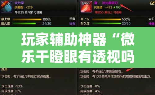 玩家辅助神器“微乐干瞪眼有透视吗”(透视)其实确实有挂