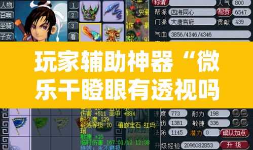 玩家辅助神器“微乐干瞪眼有透视吗	”(透视)其实确实有挂