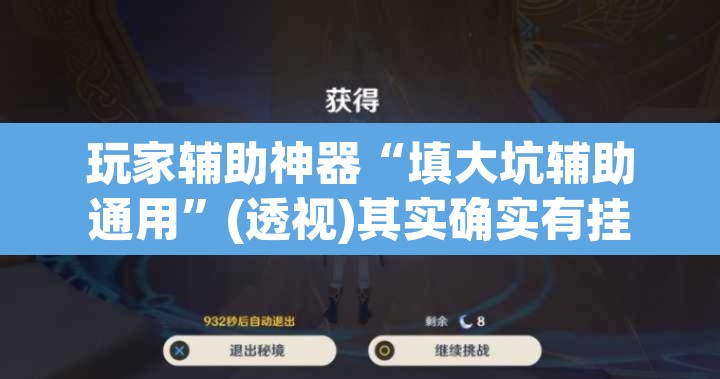 玩家辅助神器“填大坑辅助通用”(透视)其实确实有挂