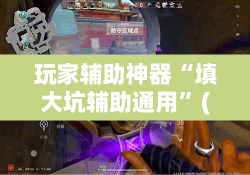玩家辅助神器“填大坑辅助通用”(透视)其实确实有挂