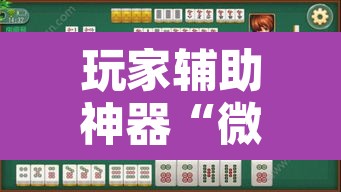 玩家辅助神器“微乐海南麻将小程序必赢神器”其实确实有挂