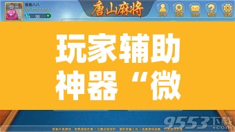玩家辅助神器“微乐安徽麻将怎么提高胜率	”开挂辅助脚本+详细开挂安装教程