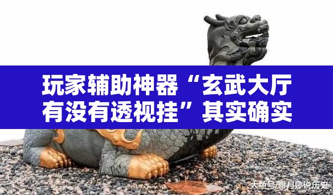玩家辅助神器“玄武大厅有没有透视挂”其实确实有挂