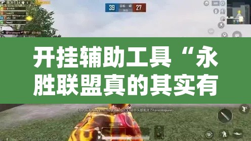 开挂辅助工具“永胜联盟真的其实有挂”(透视)其实确实有挂