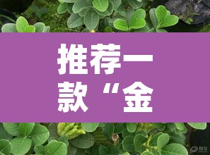 推荐一款“金华佛手到底有没有挂	”其实确实有挂