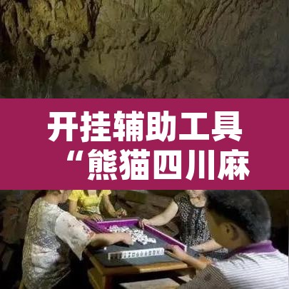 开挂辅助工具“熊猫四川麻将可以开挂吗	”其实确实有挂