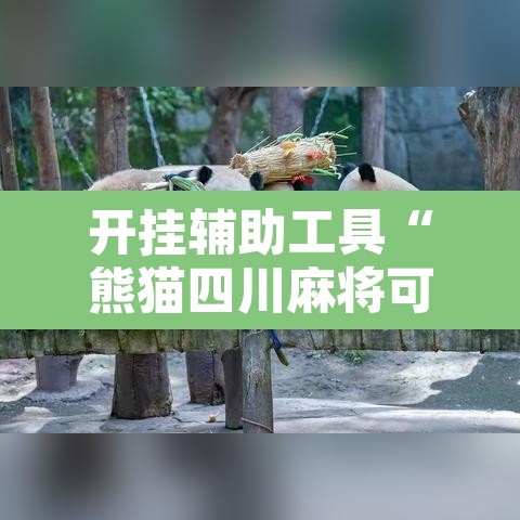 开挂辅助工具“熊猫四川麻将可以开挂吗”其实确实有挂