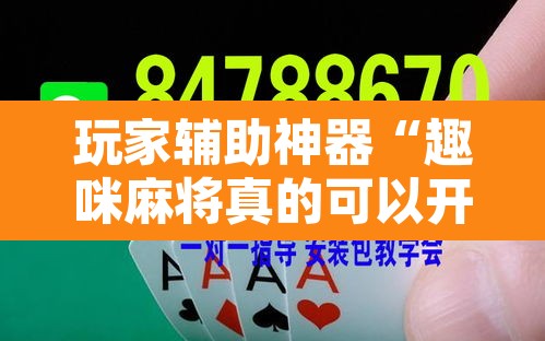玩家辅助神器“趣咪麻将真的可以开挂吗”其实确实有挂