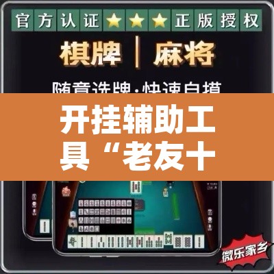 开挂辅助工具“老友十三水万能辅助器”附辅助神器开挂脚本详细步骤