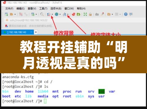教程开挂辅助“明月透视是真的吗	”开挂辅助脚本+详细开挂安装教程