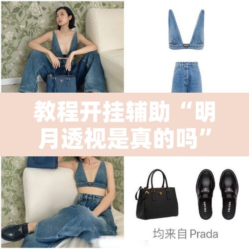 教程开挂辅助“明月透视是真的吗”开挂辅助脚本+详细开挂安装教程