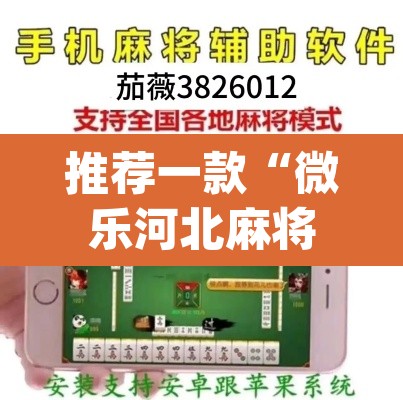 推荐一款“微乐河北麻将开挂教程”(透视挂)辅助透视教程