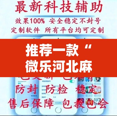 推荐一款“微乐河北麻将开挂教程”(透视挂)辅助透视教程