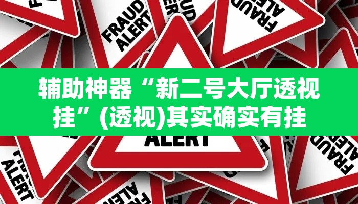 辅助神器“新二号大厅透视挂”(透视)其实确实有挂