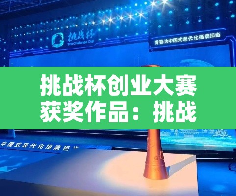 挑战杯创业大赛获奖作品:挑战杯创业大赛作品集 挑战杯创业大赛获奖作品:挑战杯创业大赛作品集