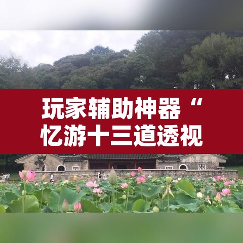 玩家辅助神器“忆游十三道透视开挂神器”其实确实有挂