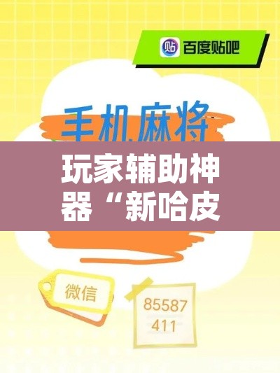 玩家辅助神器“新哈皮手游有挂吗的确有挂”附辅助神器开挂脚本详细步骤