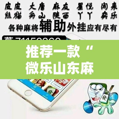 推荐一款“微乐山东麻将万能开挂器通用版	”(透视挂)辅助透视教程