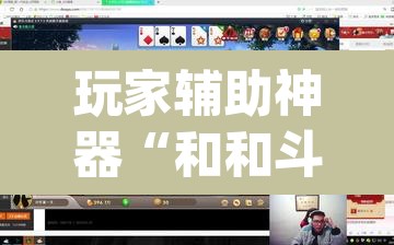 玩家辅助神器“和和斗地主透视底牌”(透视)其实确实有挂