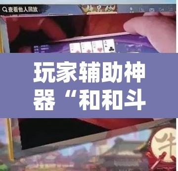 玩家辅助神器“和和斗地主透视底牌”(透视)其实确实有挂