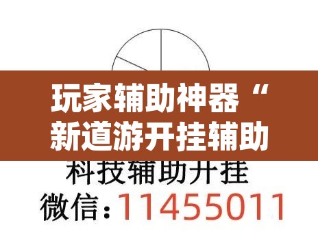 玩家辅助神器“新道游开挂辅助软件	”(透视)其实确实有挂