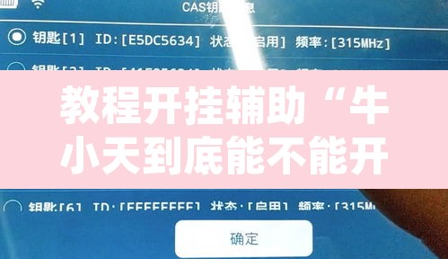 教程开挂辅助“牛小天到底能不能开挂”(透视)其实确实有挂