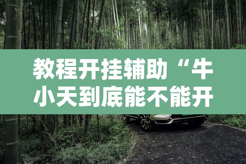 教程开挂辅助“牛小天到底能不能开挂”(透视)其实确实有挂